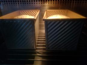 放入嫩烤箱底层，上管145度下管210度，烘烤40分钟。普通烤箱请提前预热八分钟，上下管180度，以三能吐司盒为力例，底层烘烤45分钟左右。