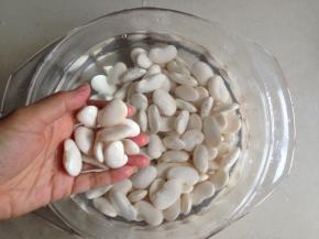 白芸豆提前一晚浸泡好