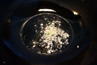 5.炒锅中倒少许油，先将蒜末煸炒出香味；