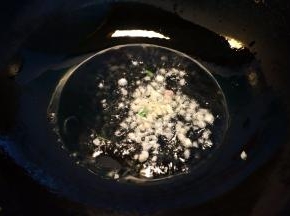 5.炒锅中倒少许油，先将蒜末煸炒出香味；