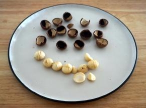 准备脆皮食材：夏威夷果切成小粒状。