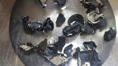 1.取袋八朵木耳，正好是一顿的量，放入清水中浸泡。