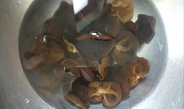 2.中途换2-3次清水，将木耳泡发好。