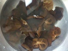 2.中途换2-3次清水，将木耳泡发好。