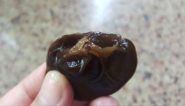 3.将木耳洗干净，保证无沙。