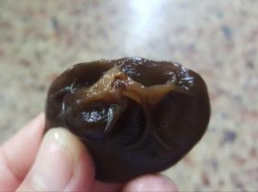 3.将木耳洗干净，保证无沙。