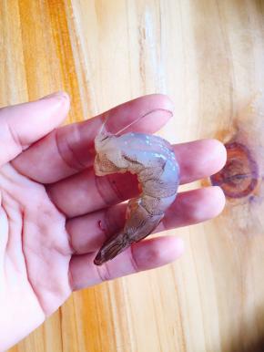 虾洗净剥去外壳，留下虾尾，虾背剪开去除虾线