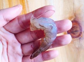 虾洗净剥去外壳，留下虾尾，虾背剪开去除虾线