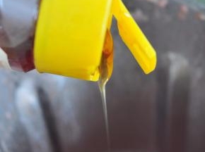 程序结束后，在料理杯中加入蜂蜜。