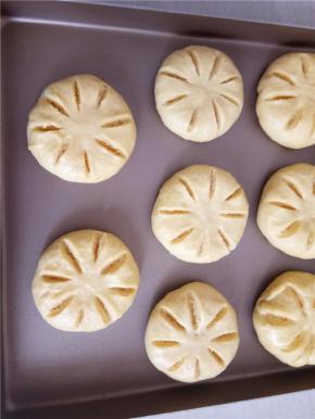 依次包好放入烤盘中进行二发。