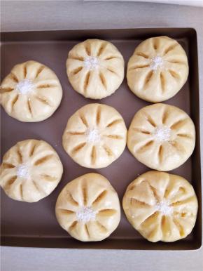 发好的面包喷上清水，在中间位置撒上少许椰蓉。