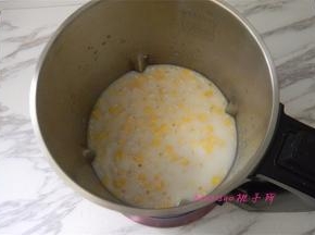 加入牛奶和纯净水的混合液，至豆浆机的水位线，接通电源，