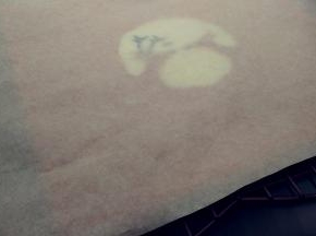 蛋糕卷出炉后从高处摔一下，震出热气。脱模的时候，烤网上垫一张油纸，将蛋糕卷直接倒扣在油纸上，记得上面要加盖油纸，防止变干。