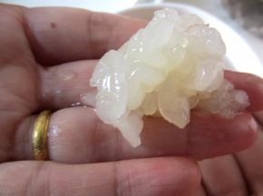 摘洗干净，去掉杂质。