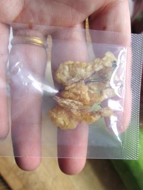 干雪蛤两小包。