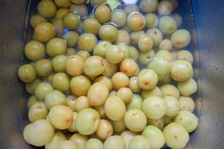 清洗青梅
（这是16年的第二批的青梅 都闷黄了）
