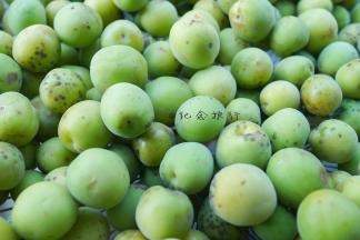 这个是17年的青梅6月份刚买的 比去年的绿很多 但是也很多烂的我都一个个挑出来 这些结疤的就算了还可以用的