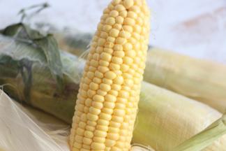 准备新鲜的水果玉米。