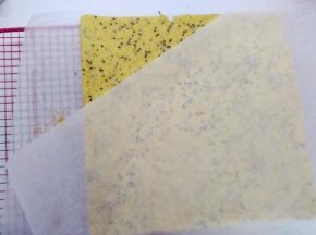 蛋糕卷出炉后从高处摔一下，震出热气。脱模的时候，烤网上垫一张油纸，将蛋糕卷直接倒扣在油纸上，记得上面要加盖油纸，防止变干。