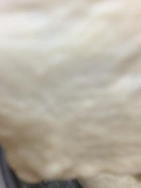 在用二档揉出扩展的膜