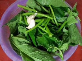 准备撕好的南瓜苗，蒜头，南瓜苗可以自己撕，也可以直接在菜市场买别人撕好的，