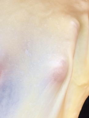 揉到像图片一样出薄膜即可