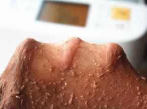 揉好的面团可以拉出薄膜