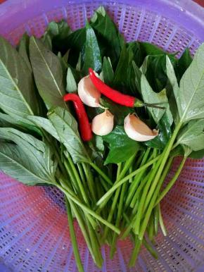 准备红薯叶，蒜，辣椒