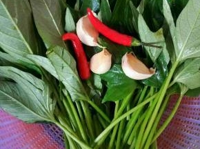 准备红薯叶，蒜，辣椒