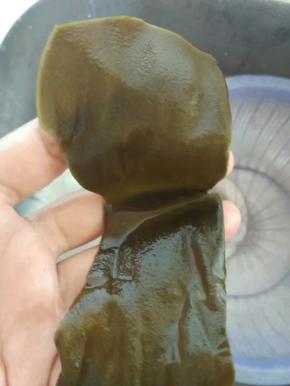 海带结稍微泡一下，放到水龙头下一个个解开洗干净里面的沙子