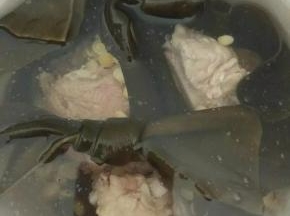 所有食材放入炖锅，加入清水