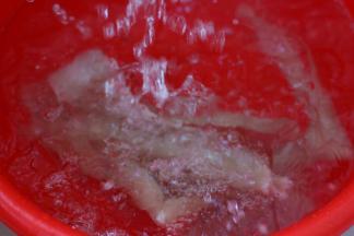 焯直飘起浮沫，放入冷水里冲洗干净。