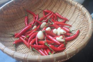 辣椒洗净晾干水分，大蒜剥几瓣儿一起洗净晾干水分