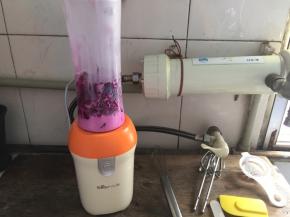 现在来做慕斯液，将火龙果切成小块放入榨汁机，倒入纯牛奶，