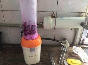现在来做慕斯液，将火龙果切成小块放入榨汁机，倒入纯牛奶，