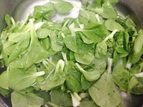 把小白菜摘好清洗干净