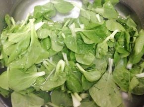 把小白菜摘好清洗干净