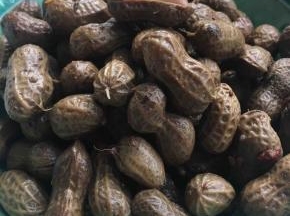 把洗干净的配料和花生放入高压锅，多放些水盖过花生，压二十分钟后关火，泡二、三小时入味，放冰箱冷藏一夜后更入味