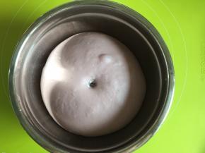 发酵到面团是原来的2-2.5倍大小，用手指沾一点面粉，戳一下面团，不会回缩即可