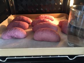 进行第二次发酵，发酵30分钟即可（利用烤箱发酵，烤箱里放一杯温水），然后烤箱预热160度，上下火，烤30分钟即可