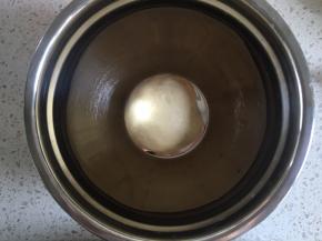 滚圆面团，放入盆内，盖上湿毛巾，放在温暖湿润处进行发酵