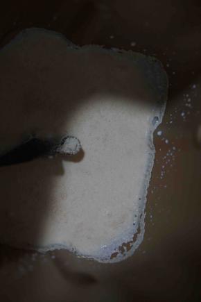 牛奶和酵母混合静置5分钟