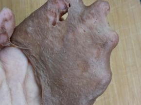 这时候面团已经有了比较薄的手套膜；