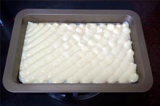 这次使用的模具长宽为10寸*7寸。模具底部铺放一张吸油纸，然后一条一条挤出斜斜的蛋糕糊，挤好后无需震荡。