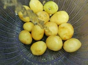 小土豆洗干净去皮