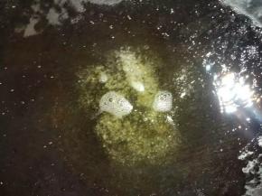 热锅下油，放入白糖炒糖色