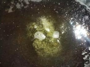 热锅下油，放入白糖炒糖色