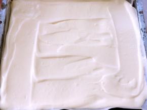 烤盘铺油纸，将翻拌好的面糊倒入模具内，用刮棒刮平正，入烤箱180度烤15分钟，表面上色即可