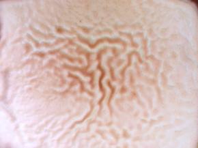 入烤箱200度烤5分钟，之后转170度烤2分钟，出炉另铺一张油纸，将烤好的虎皮面倒扣在新油纸上，之后撕掉表层油纸