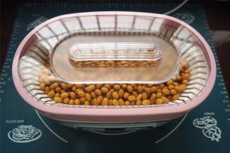 放入酸奶机，选择纳豆程序，时间16小时，启动发酵。